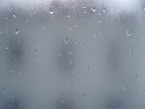 Cloudy Glass Repair in Flossmoor, IL